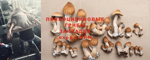 бутират Арсеньев